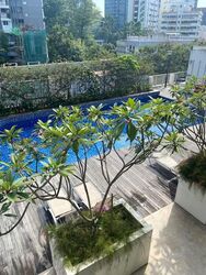 Ascent @ 456 (D12), Apartment #569938571